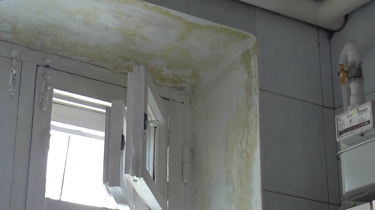 У квартирах полтавців на вулиці Вузька, 2 з’явився грибок на стелі
