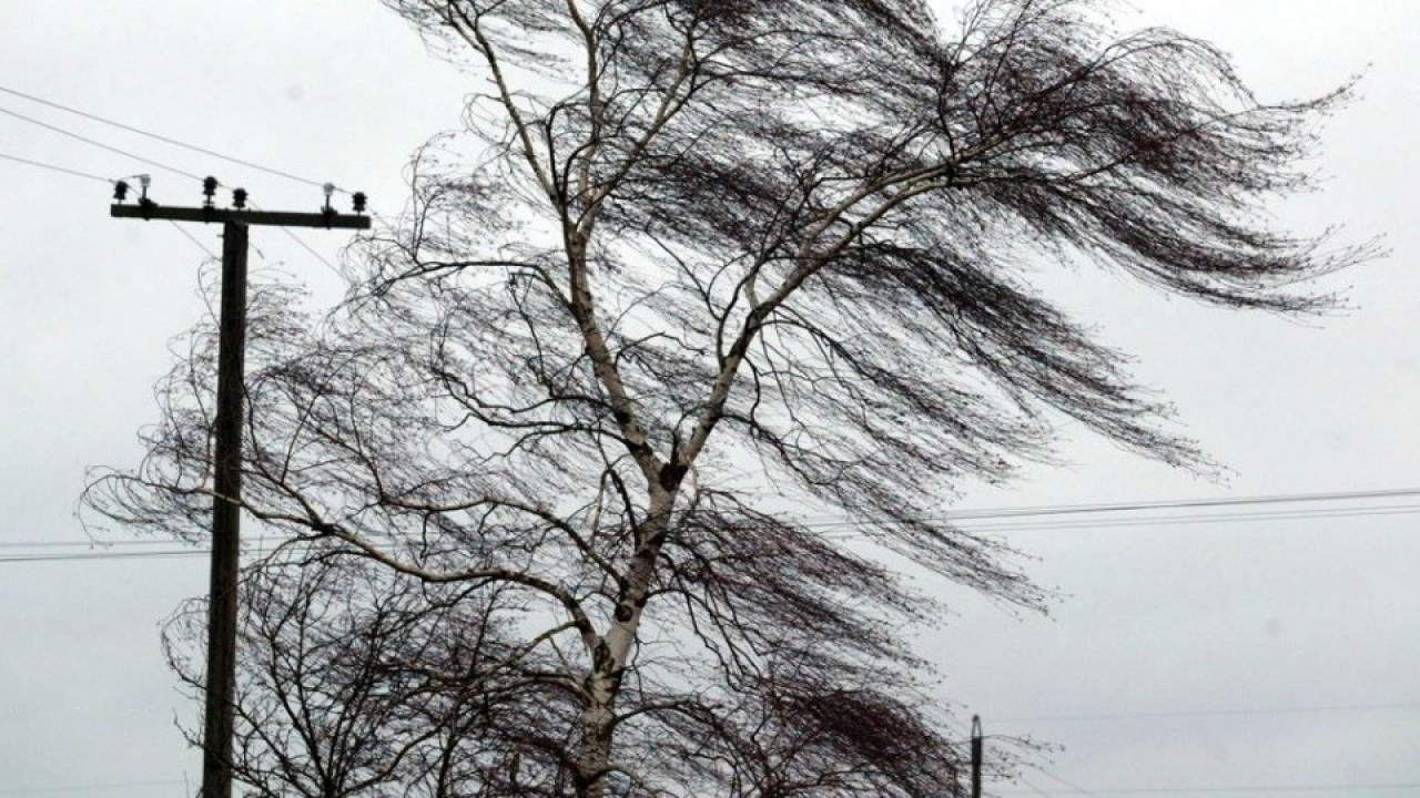 22-го  березня на Полтавщині прогнозують сильні пориви вітру