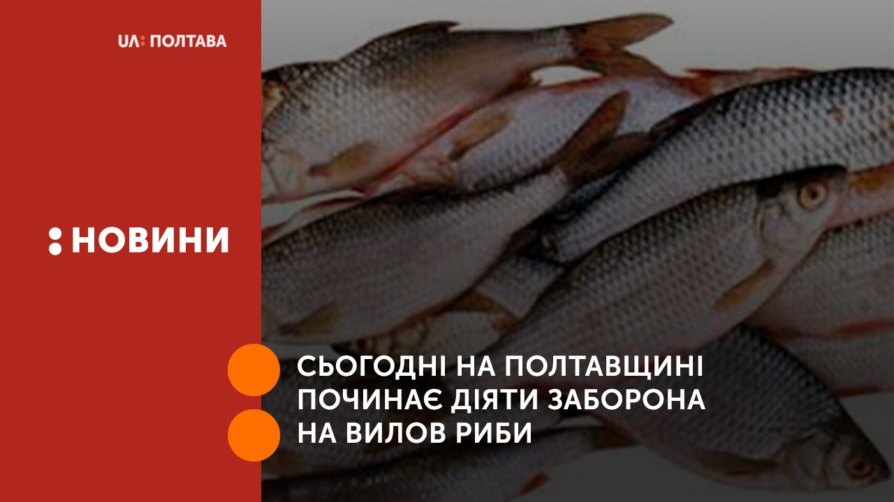Сьогодні на Полтавщині починає діяти заборона на вилов риби