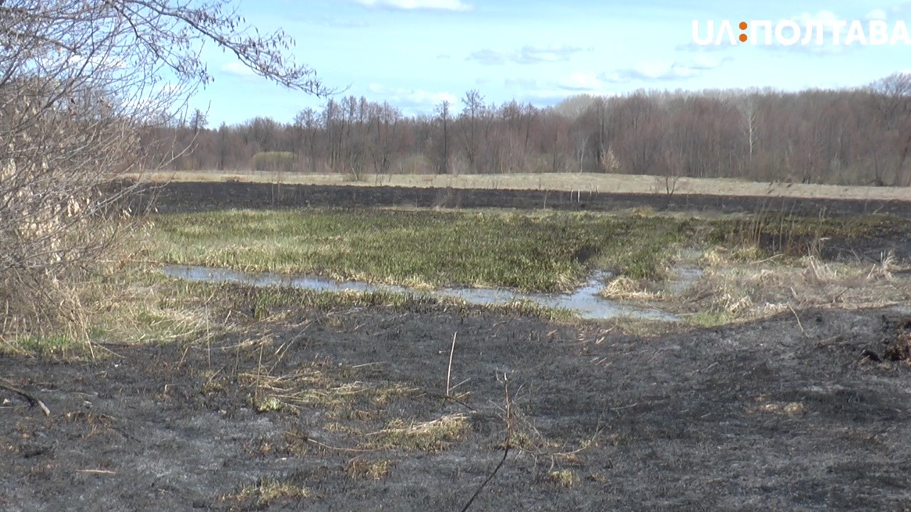 З початку року на Полтавщині сталося 125-ть пожеж на відкритих територіях