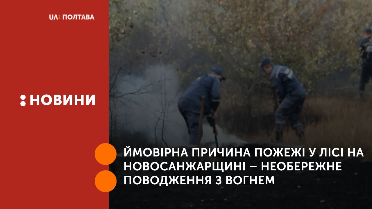Ймовірна причина пожежі у лісі на Новосанжарщині – необережне поводження з вогнем невідомої особи